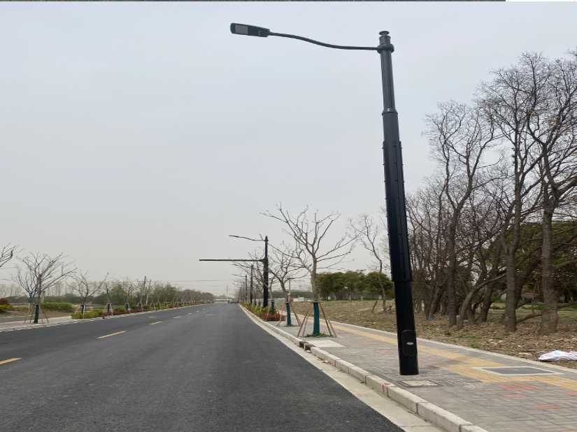 城东区上海综合杆 太阳能路灯工程